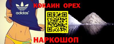 крисы Новокубанск
