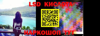крисы Новокубанск