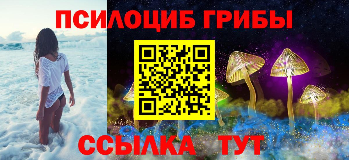 Псилоцибиновые грибы Psilocybe Соликамск